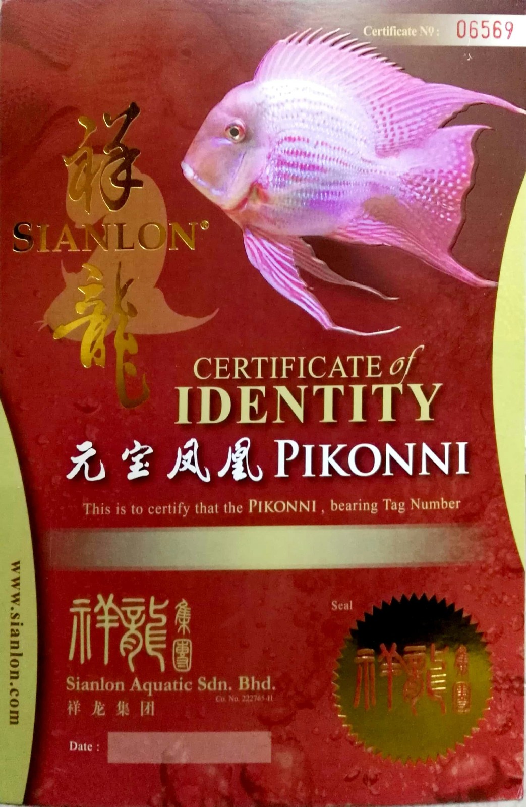 Sucre CERTIFICATE of DENTITY  PIKONNI